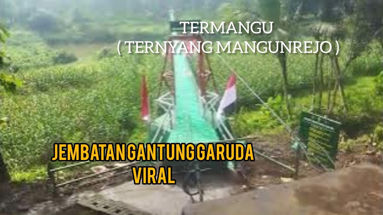 JEMBATAN GANTUNG GARUDA VIRAL TERMANGU (TERNYANG MANGUNREJO) #information#viral#jembatangantung 