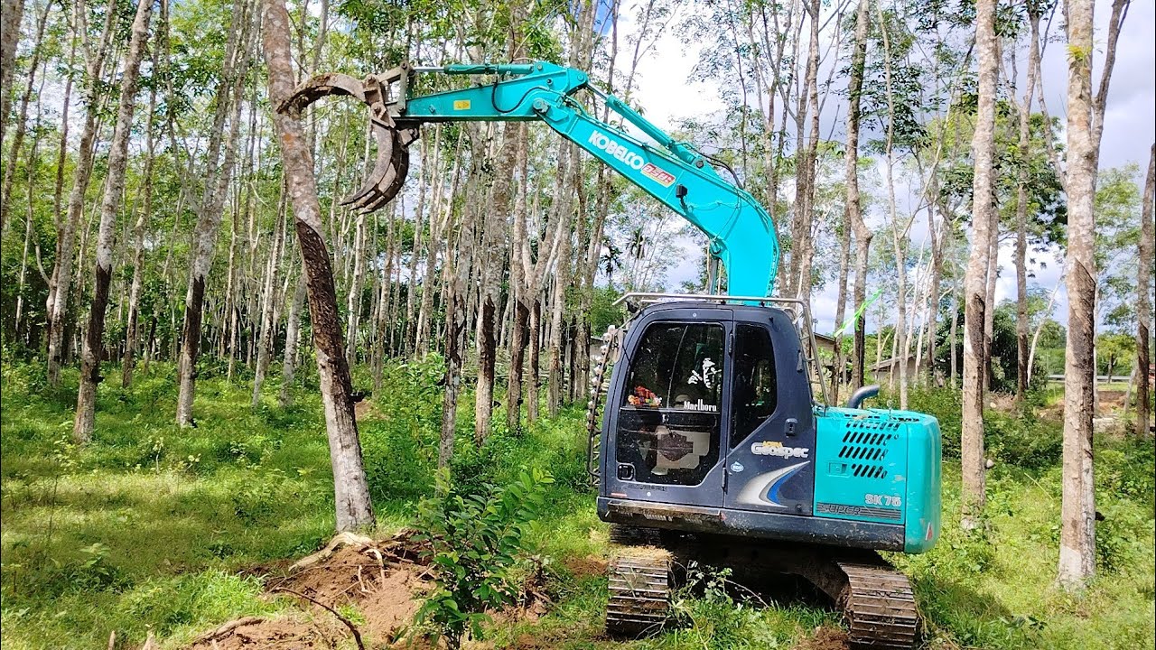 ดุเด็ดเผ็ดมันส์ เล็กพริกขี้หนู KOBELCO SK75-8 SUPER ล้มไม้ยางพารา 5 ไร่