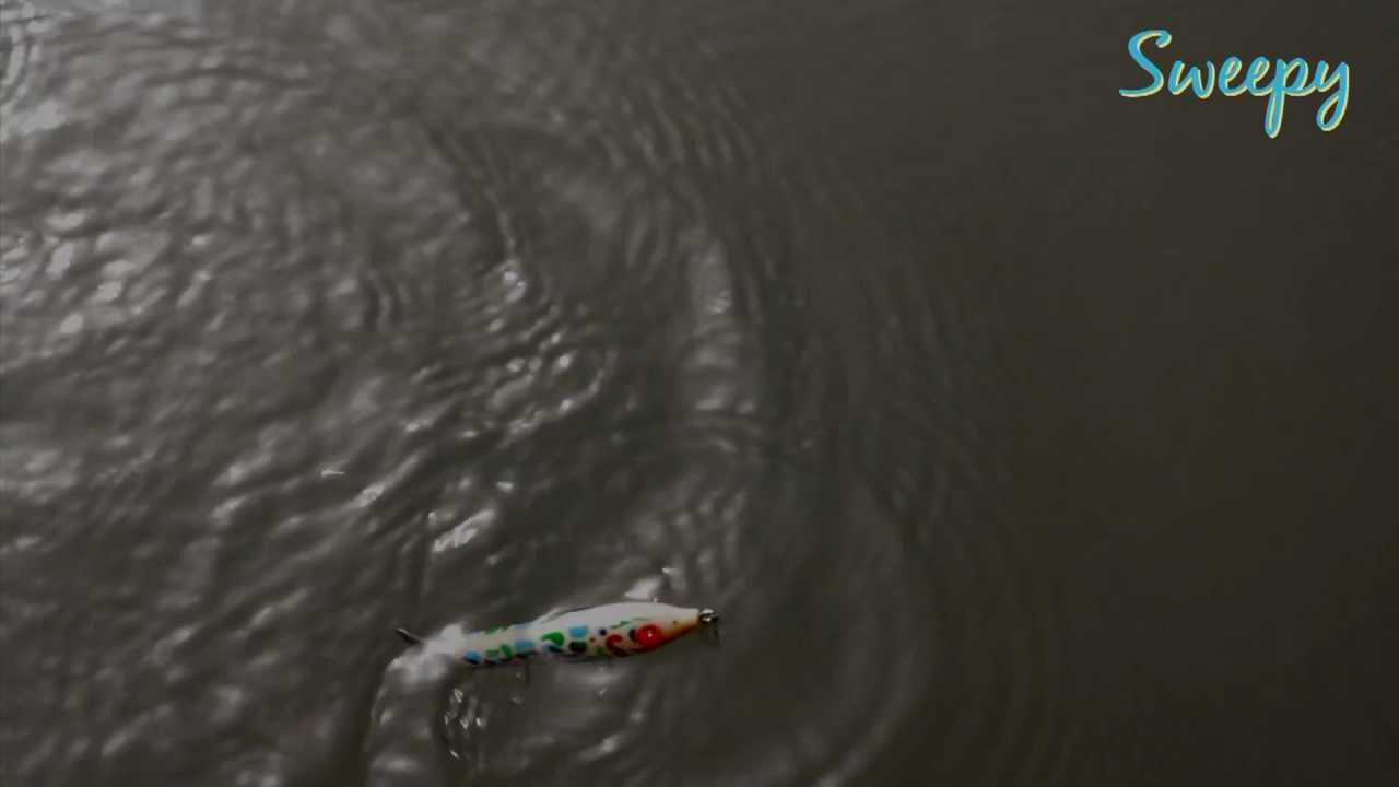 Tsunami Lures -Sweepy-