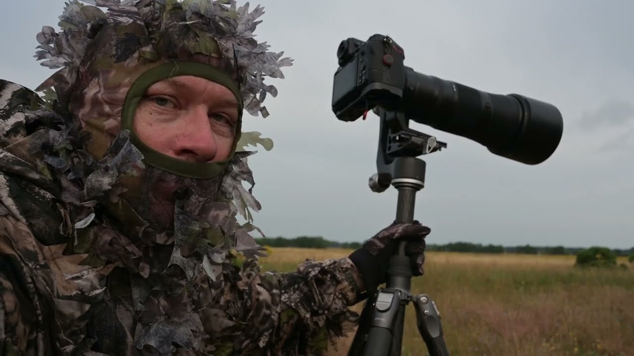 Finding the Red deer