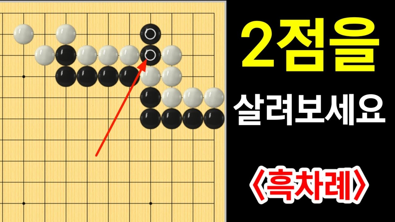 (바둑의기술 #237) 2점 살리기