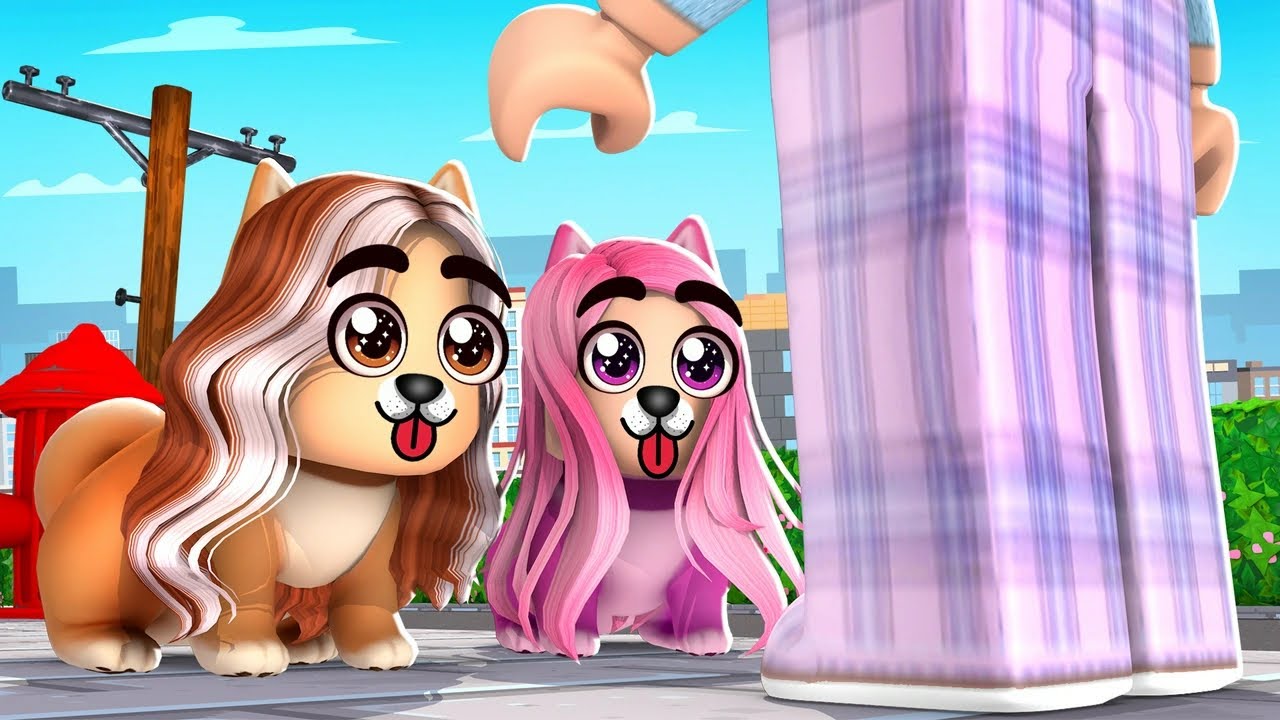 VIRAMOS CACHORRINHAS E FOMOS ADOTADAS