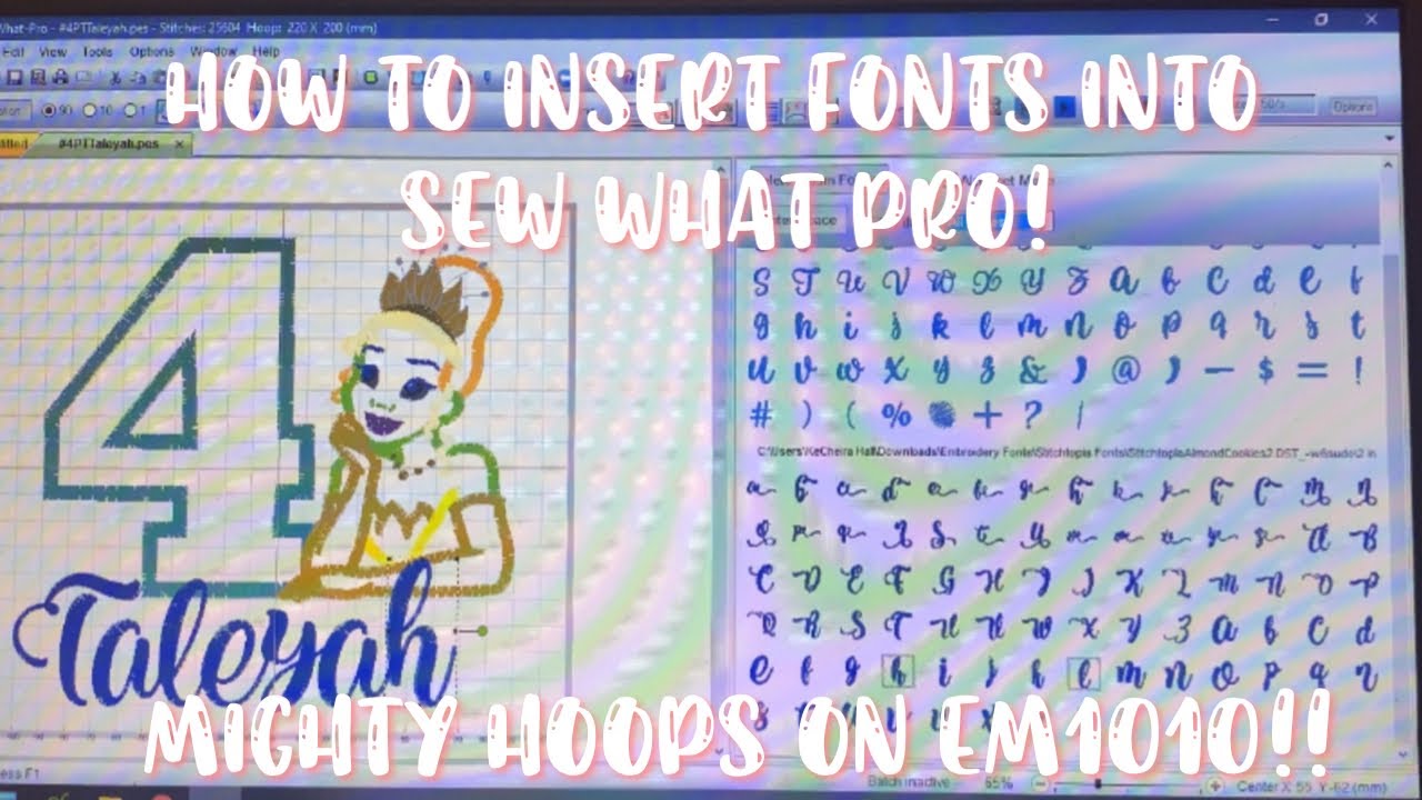 HOW TO USE MIGHTY HOOPS ON RICOMA EM1010 | HOW TO ADD NAMES AND ADJUST HOOP SIZE IN SEW WHAT PRO