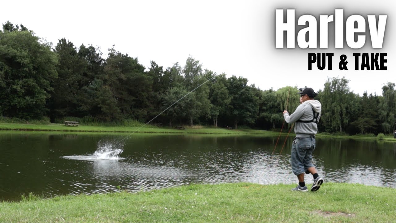 Sommer fiskeri Harlev Put & Take | Masse af action