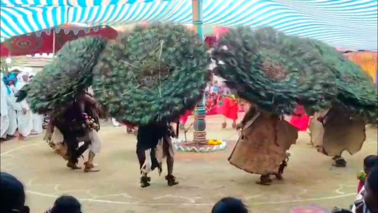 Rasimetta dandari 🦚 at maruthiguda ✨