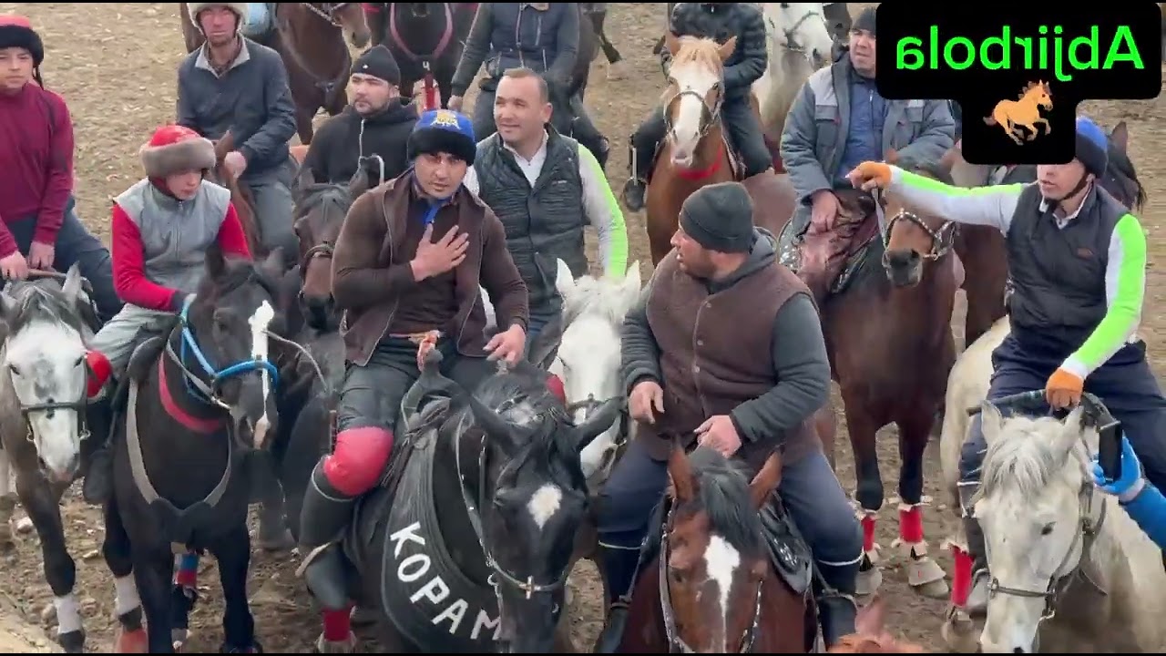 #Abjirbola #kopkari #🐎🐎🐎🐎🐎