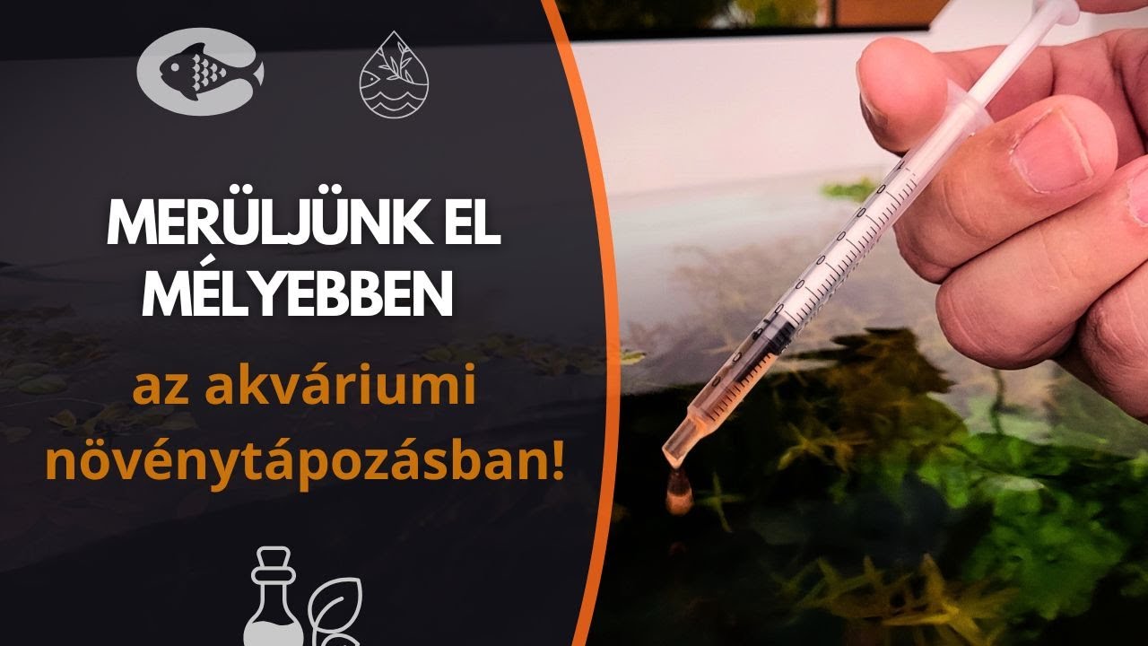 🌱 Akváriumi növénytápozás mélyen: titkok, amiket eddig nem hallottál!
