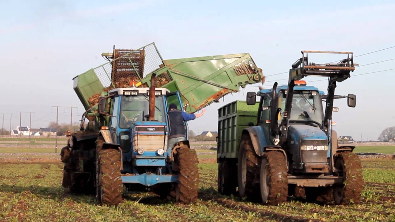 Keith Burke Agri At beet