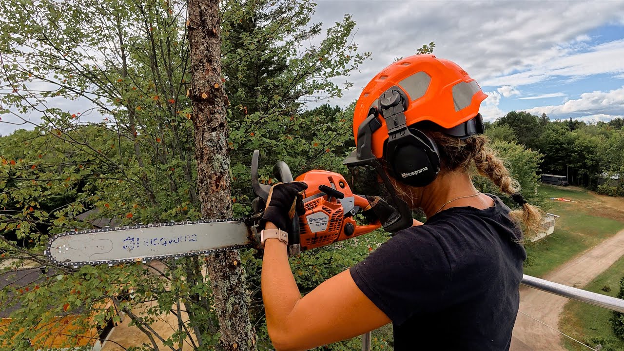 Limbing, Chipping and Felling 70ft trees by myself | Wife of an Arborist