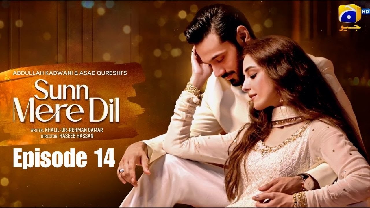 Sunn Mere Dil | Episode 14 | Wahaj Ali | Maya Ali | Usama Khan | Hira Mani Saba Hameed |