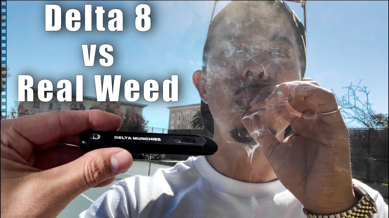 Delta 8 BETTER than REAL weed?! | Slick Frank Vlog