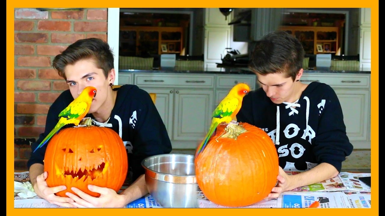 Pumpkin Carving w/ Mango!