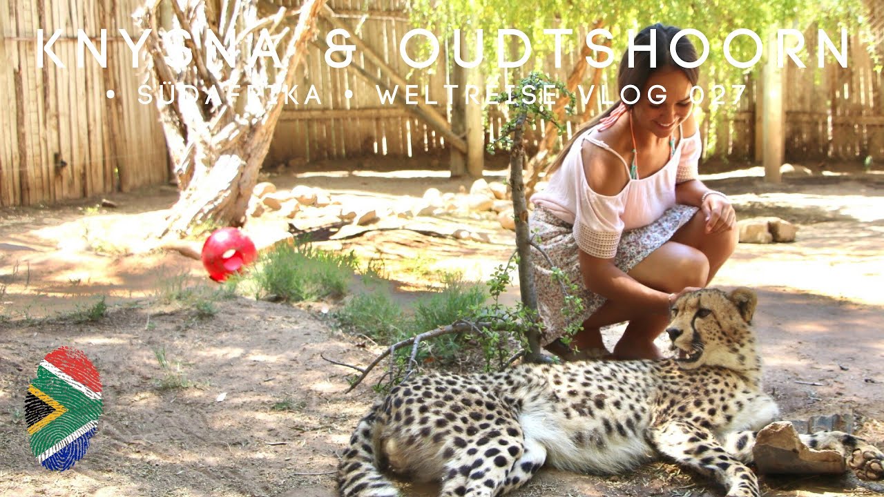 Cango Wildlife Begegnung mit Gepard, Krokodil & Strauß an einem Tag • Südafrika • Weltreise Vlog 027