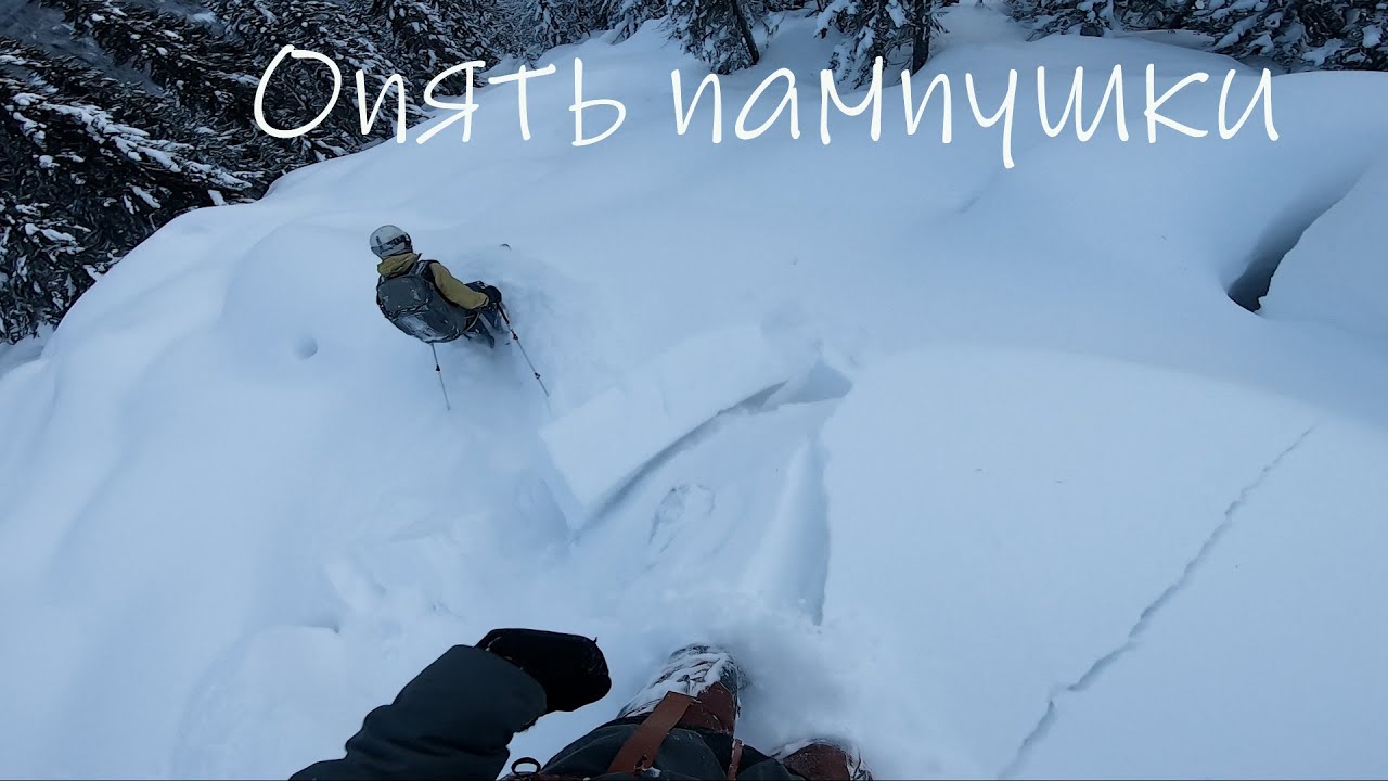 Фрирайд выходного дня . Splitboard  WESTON Backwoods Artist Series