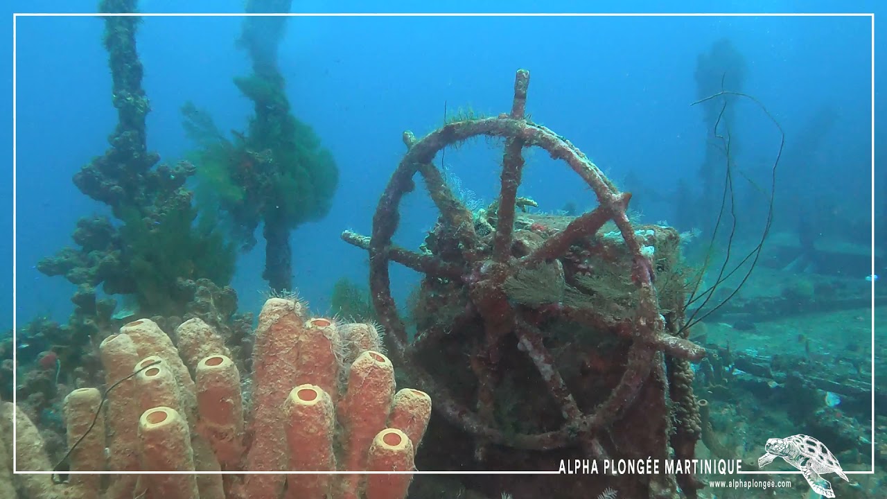 Plongée sur l'épave du Nahoon avec Alpha Plongée Martinique