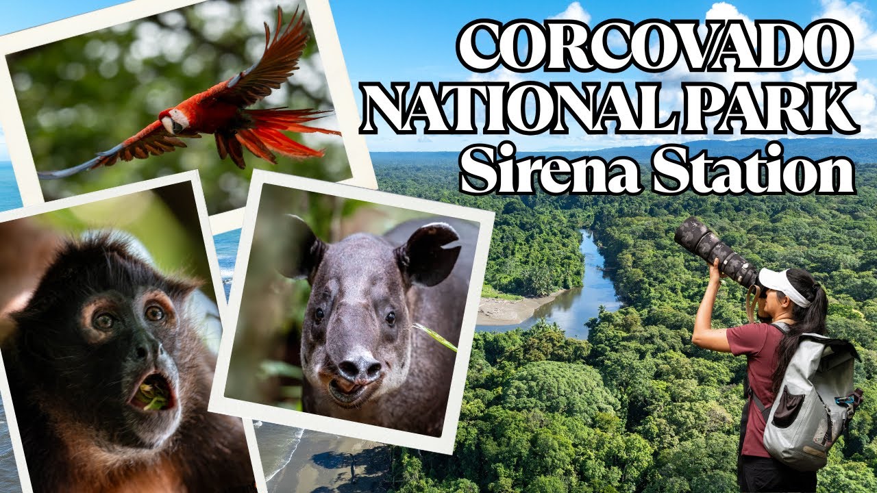Corcovado National Park Sirena Station: WILD Overnight Stay!