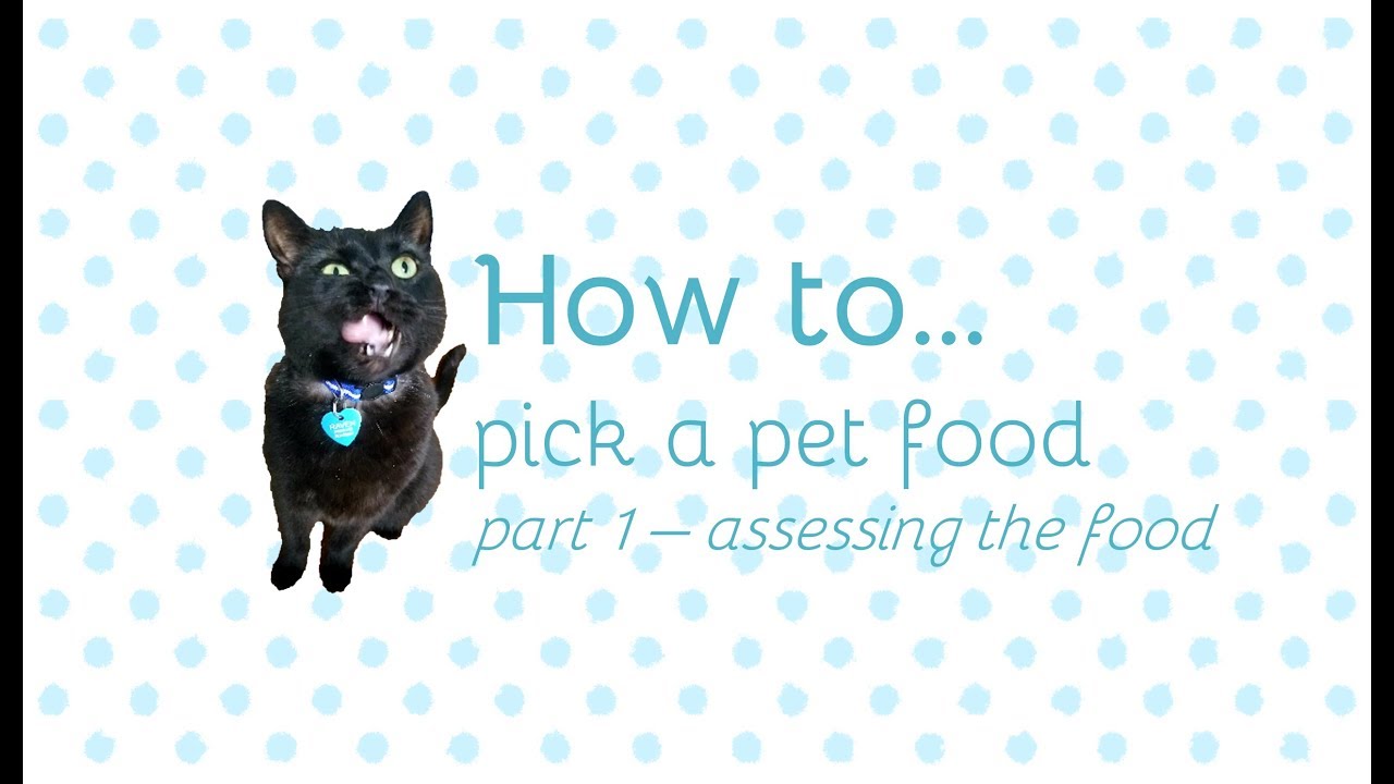 How to pick a pet food, part 1
