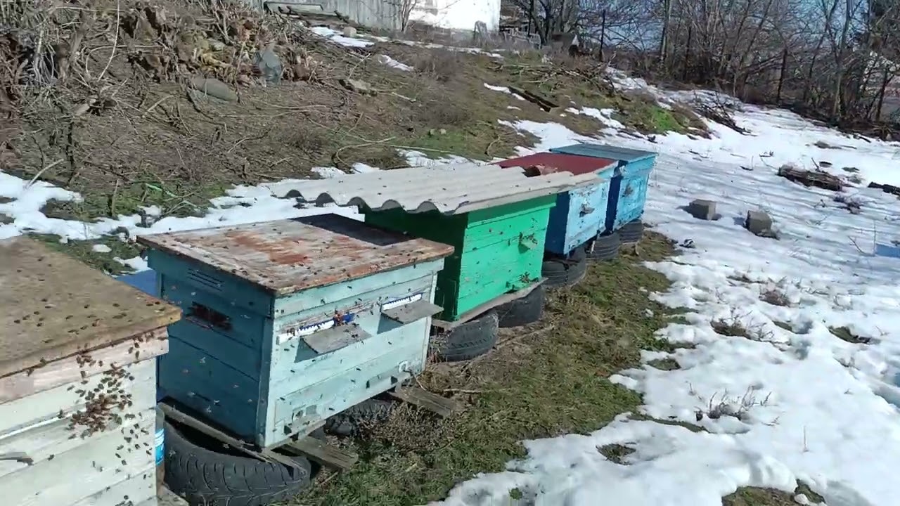 Літають.