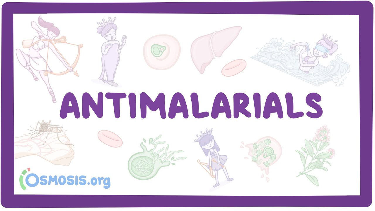 Antimalarials ~Pharmacology~