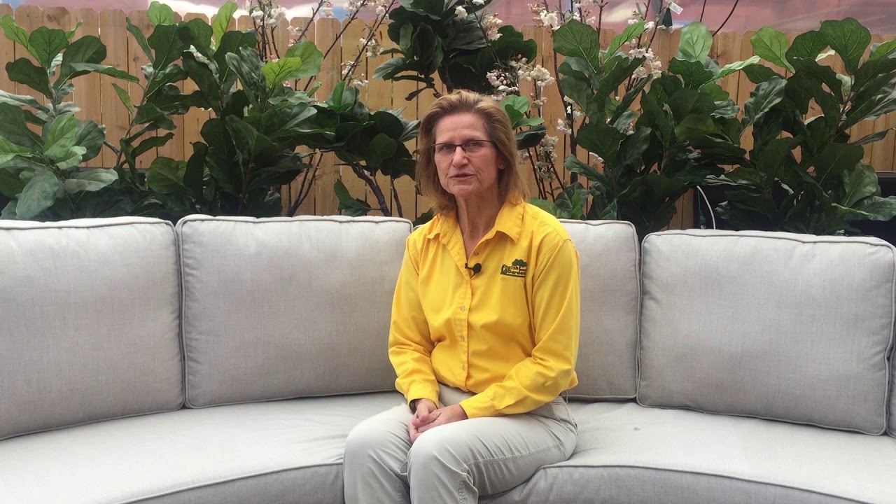 Ways We Can Help: Meet our Garden Coach ENGLISH GARDENS