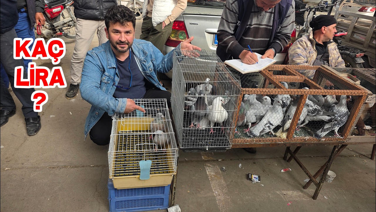 G&uuml;vercin Pazarının En Pahalı G&uuml;vercinleri