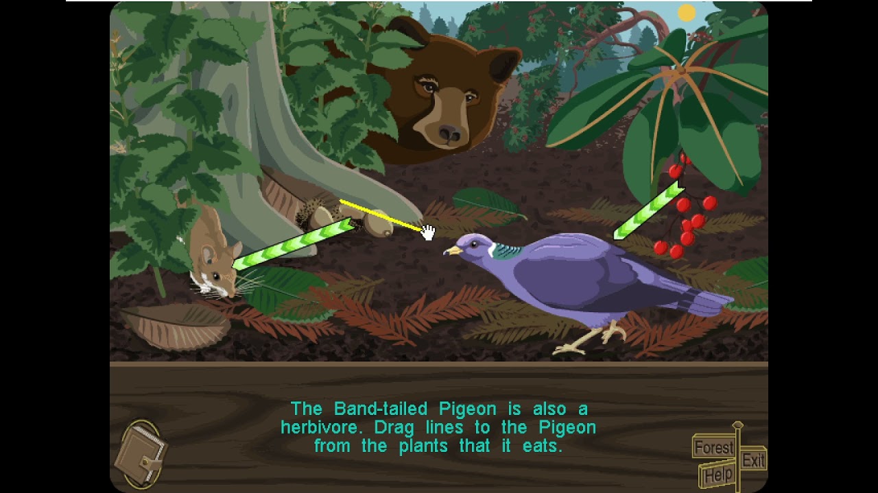 Redwoods Explorer - Part 1 - Installation and Overview