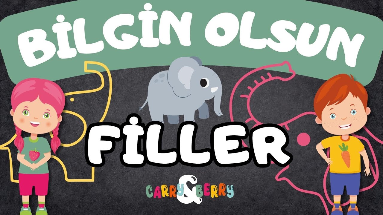 Çocuklar İçin Belgesel | BİLGİN OLSUN - 1 | HAYVANLARI TANIYALIM | FİL BELGESELİ