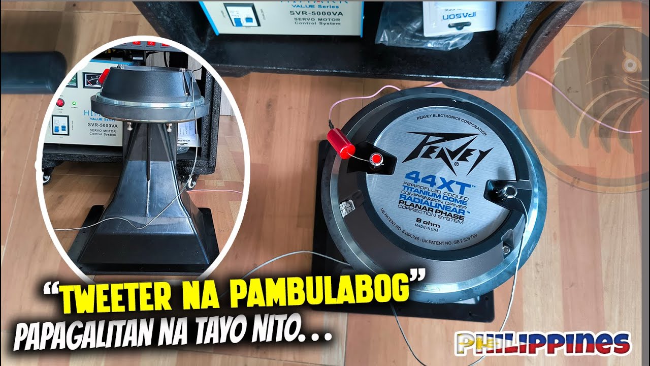 44xt Peavey, Titanium Dome Tweeter Speaker, PANGMALAKASAN