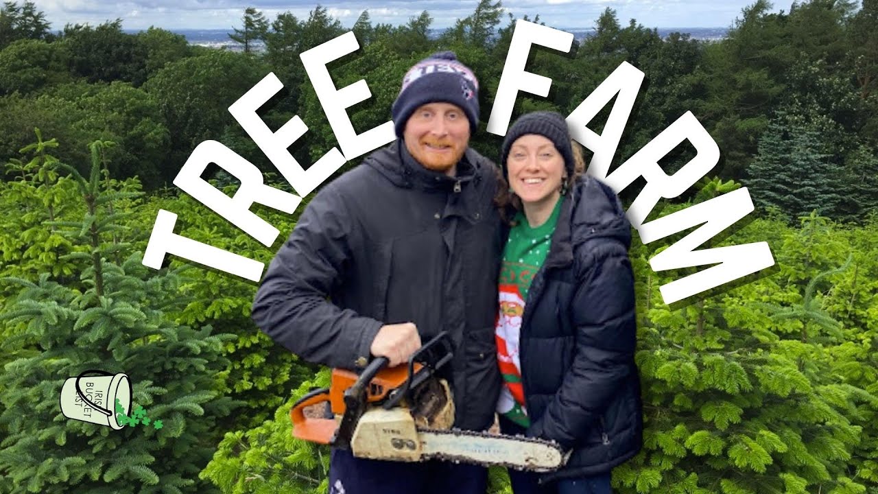 Dublin Has A Christmas Tree farm where you cut down your own tree 🎄🪚