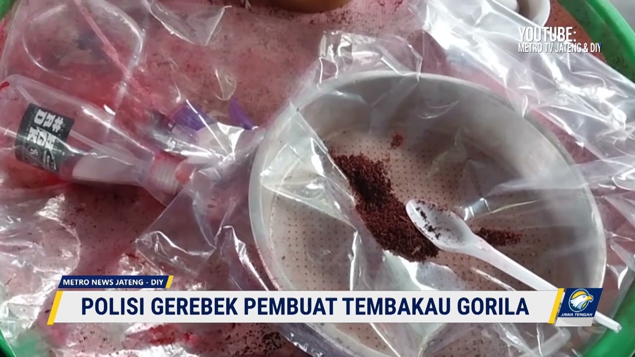 Polisi Gerebek Pembuatan Tembakau Gorila