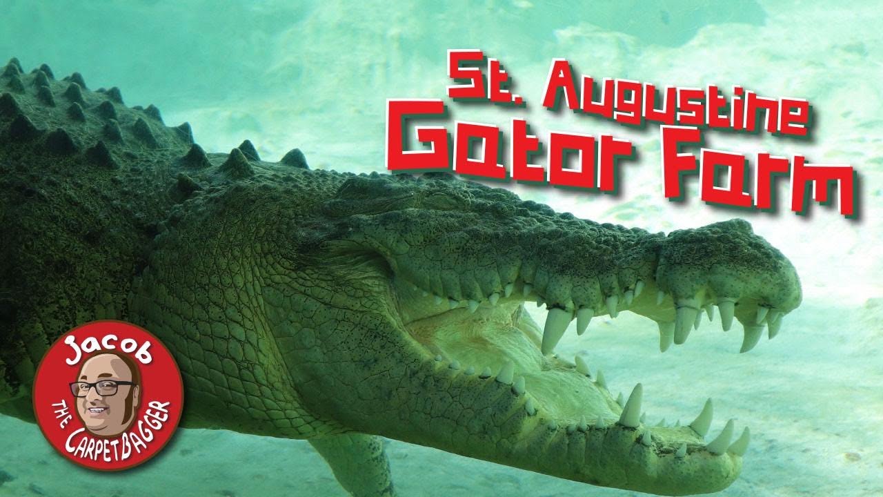 St.  Augustine Alligator Farm