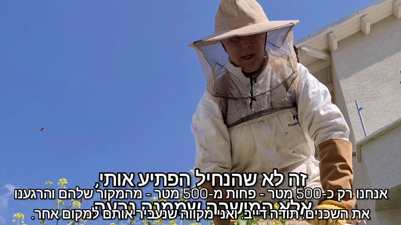 איך לתפוס נחיל הראש טוב  - Swarm Retrieval