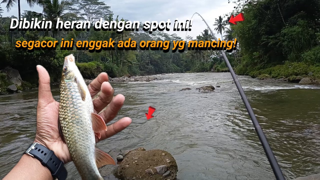 DI BIKIN HERAN SPOT SEGACOR INI ENGGAK ADA YANG MANCINGIN?!!! 