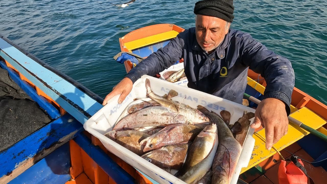 PESCARIA DE BACALHAU - Bacalhau a Milanesa