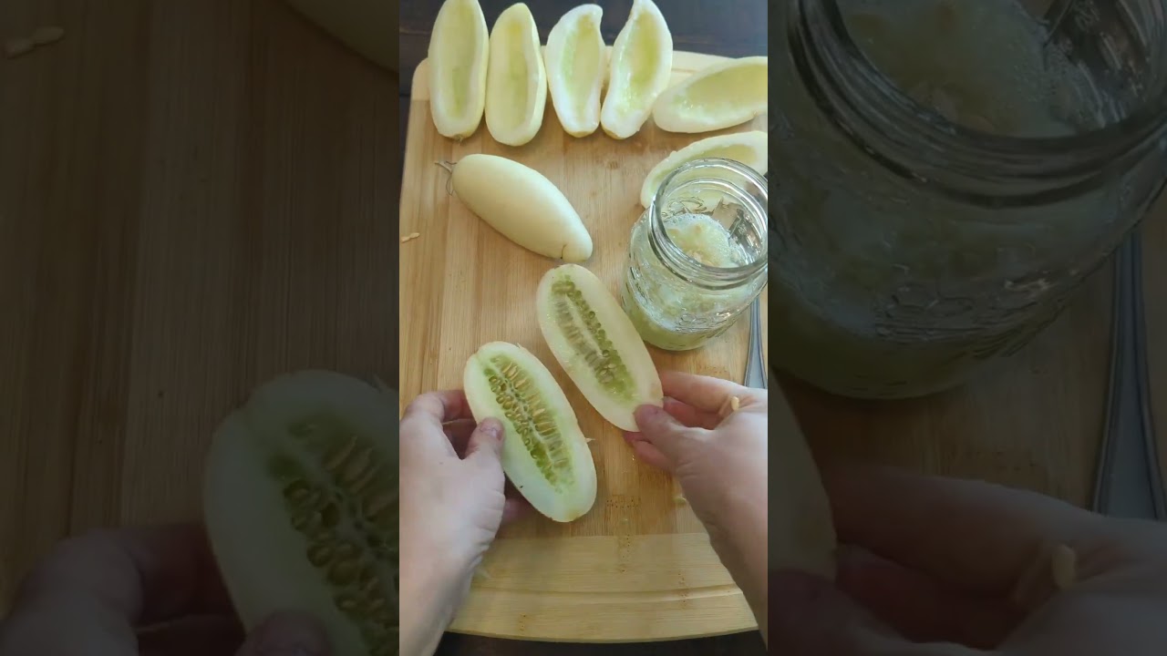 How to Save Cucumber Seeds #cucumber #seeds #garden #gardening #growyourownfood #fermentation