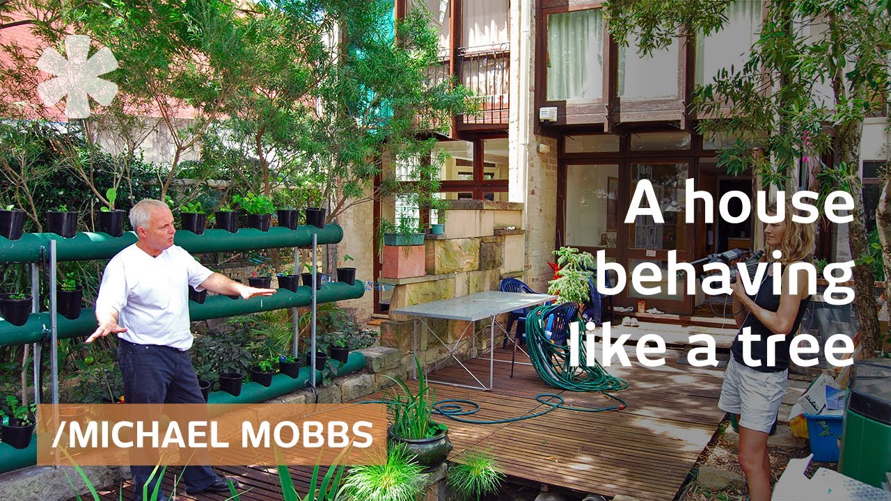 Off-grid Sydney home reuses sewage via backyard pond's natural filter