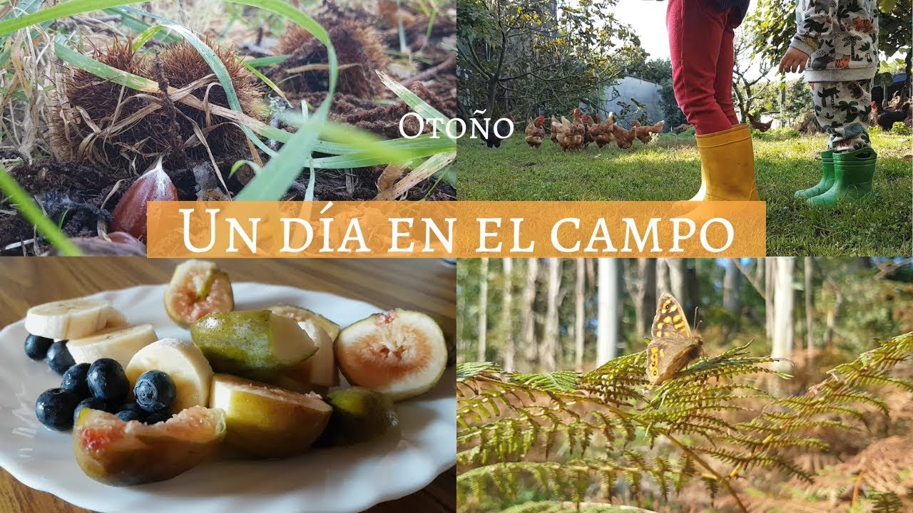 Un d&iacute;a en el campo | Planes con ni&ntilde;os | Oto&ntilde;o | Trucos de Familia