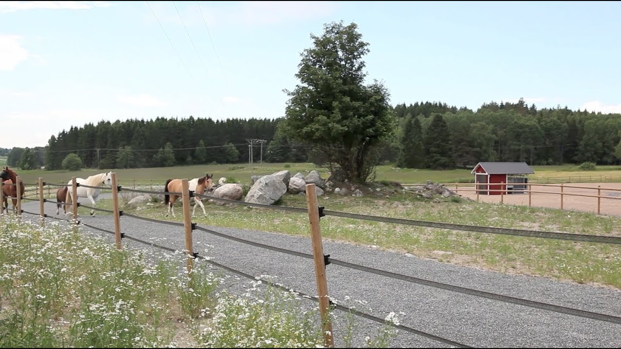 HIT Active Stable Presentation