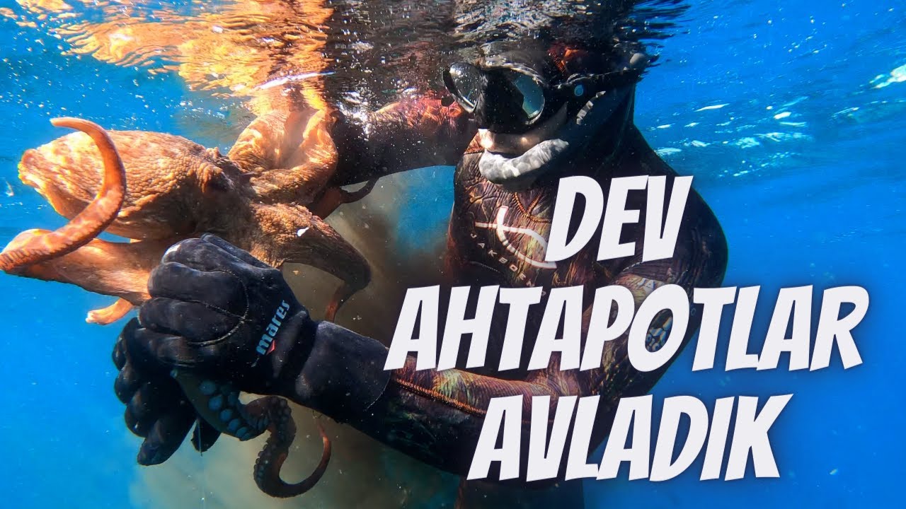 SUALTINDA DEV AHTAPOTLAR AVLADIK -   Zıpkınla Balık Avı Vlog - 2