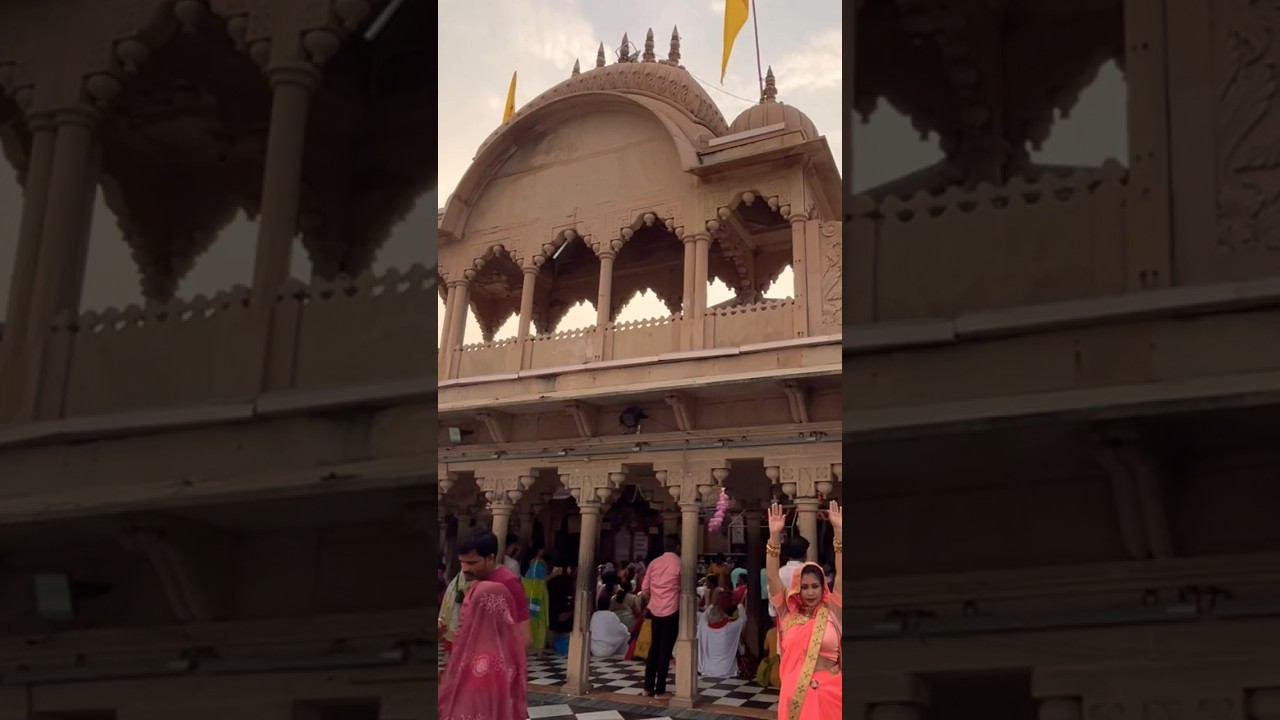 Varsana Dham #varsana #vrindavan #shorts #ytshorts