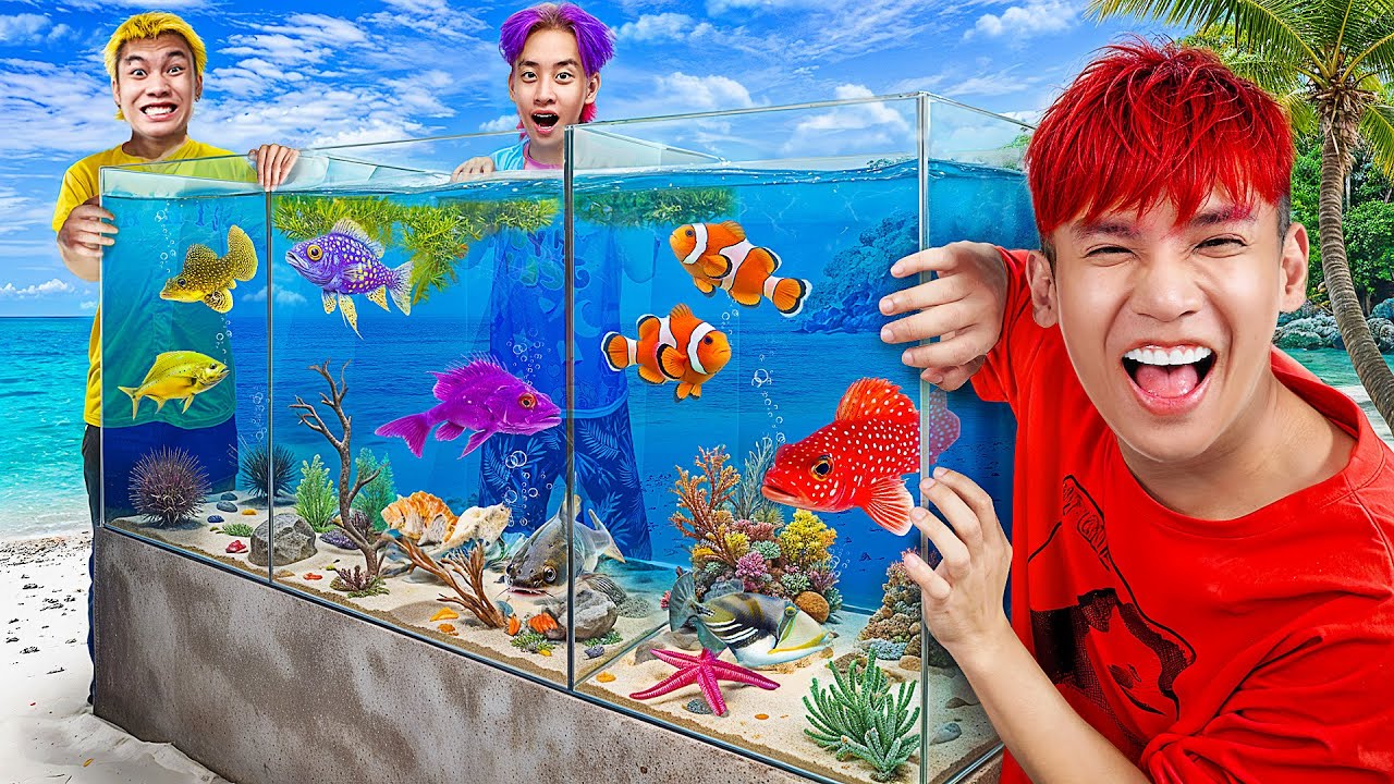 HI-END l ชาเลนจ์แข่งจับสัตว์ทะเล!! มาเลี้ยงในตู้อควาเรียม 5 รูปแบบ!!