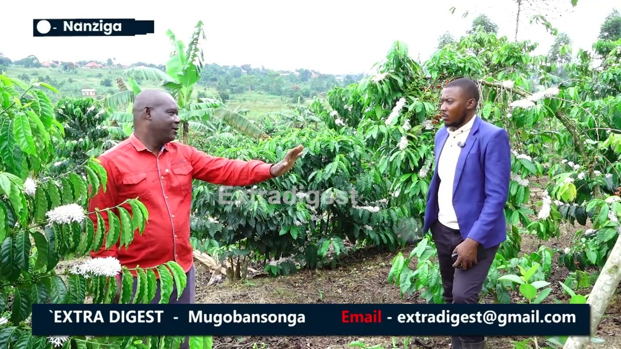 Hon. Moses Kasibante is back to farming, does not regret Politics -EMmwanyi Terimba #extradigestshow