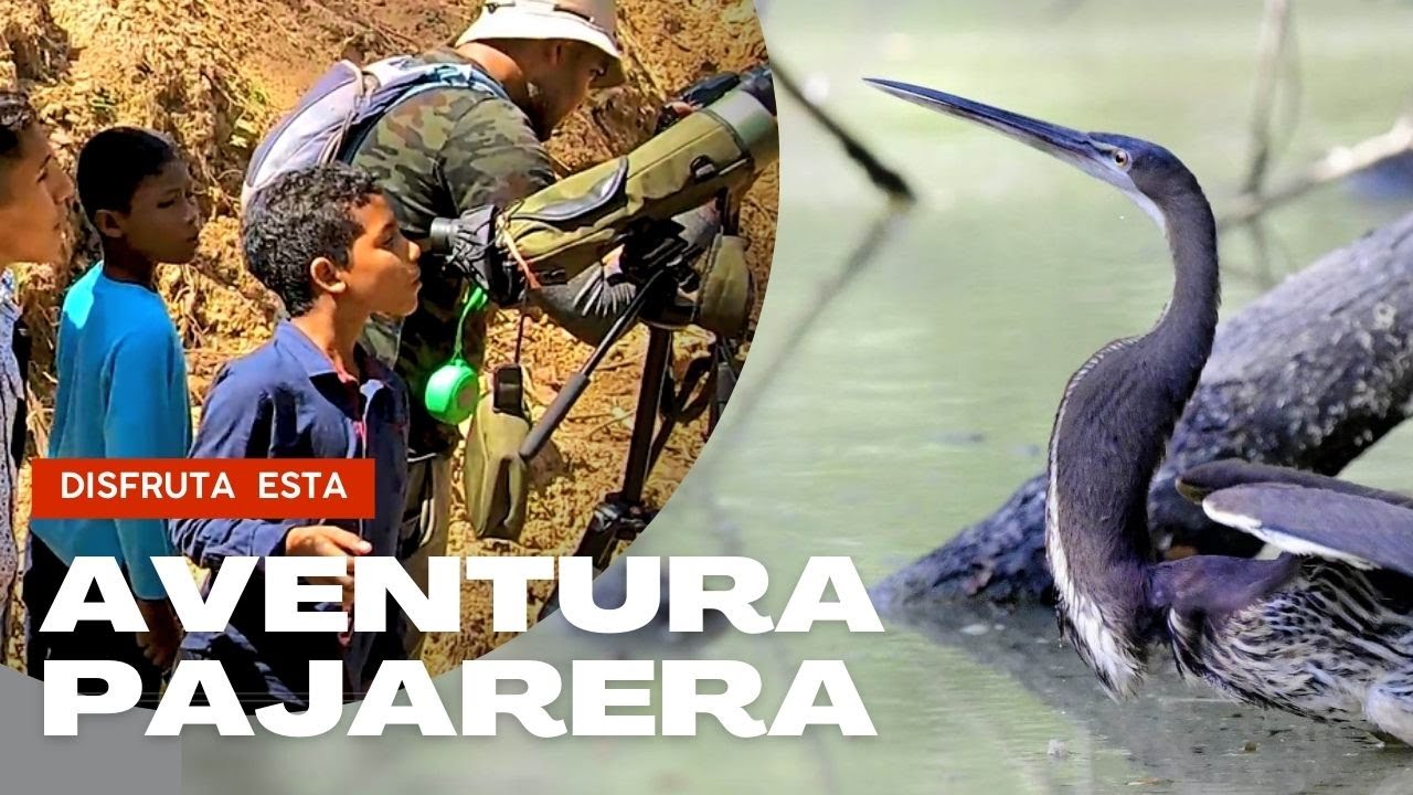 🤩¡Descubre los Secretos de 