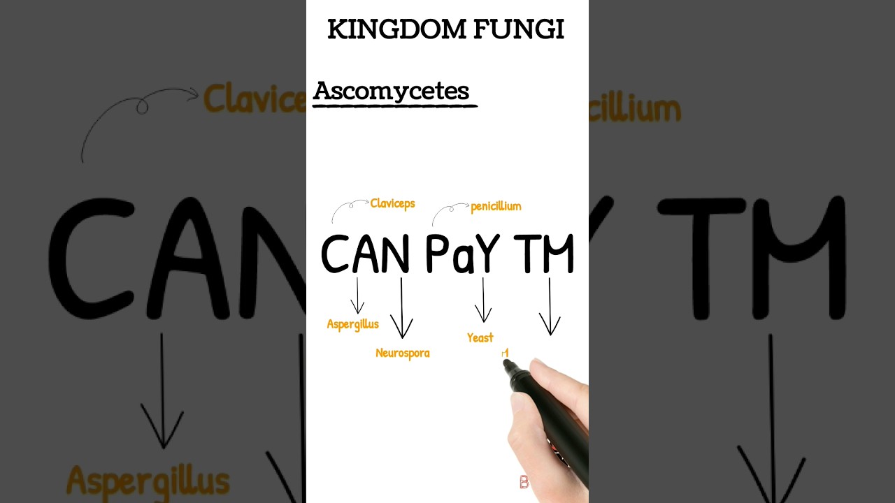 Easy trick to learn kingdom fungi examples class 11 biological classification for neet  board #neet