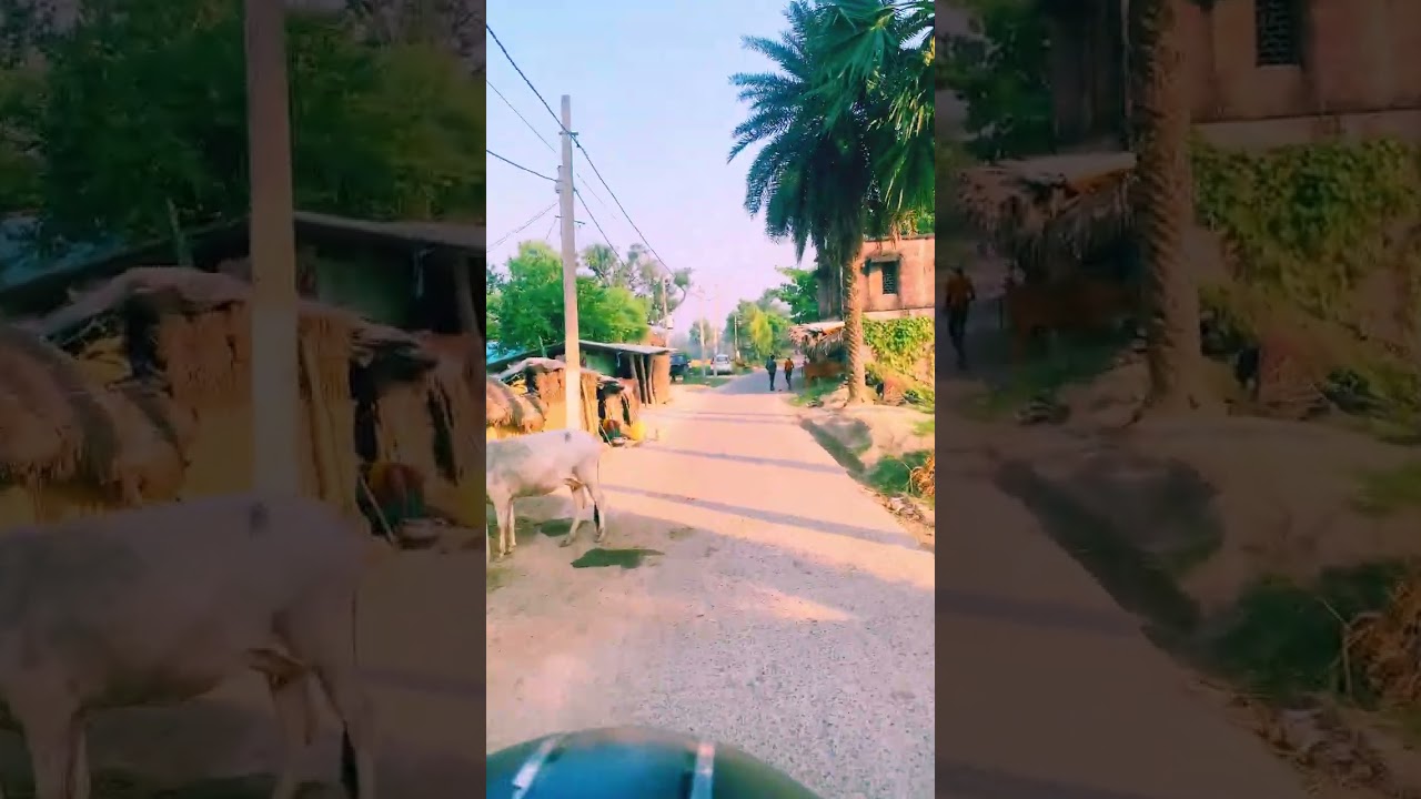 Rural India , Bharat 2026