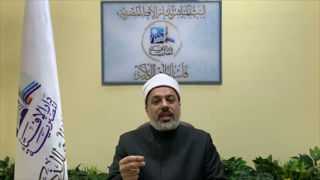 هل لمس القطة ينقض الوضوء؟ وهل جلوسها على سجادة الصلاة وأماكن النوم والجلوس يؤثر على طهارتها؟