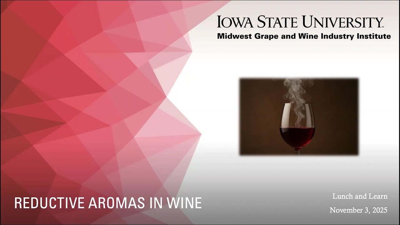 Lunch and Learn: Reductive (H2S) Aromas