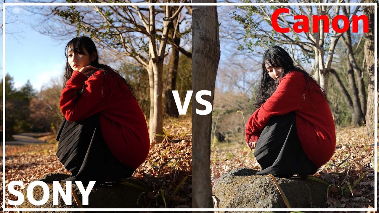【a7iv vs EOS R6】簡単にこの２機種を比較！AF・暗所に強いのはどっちだ？