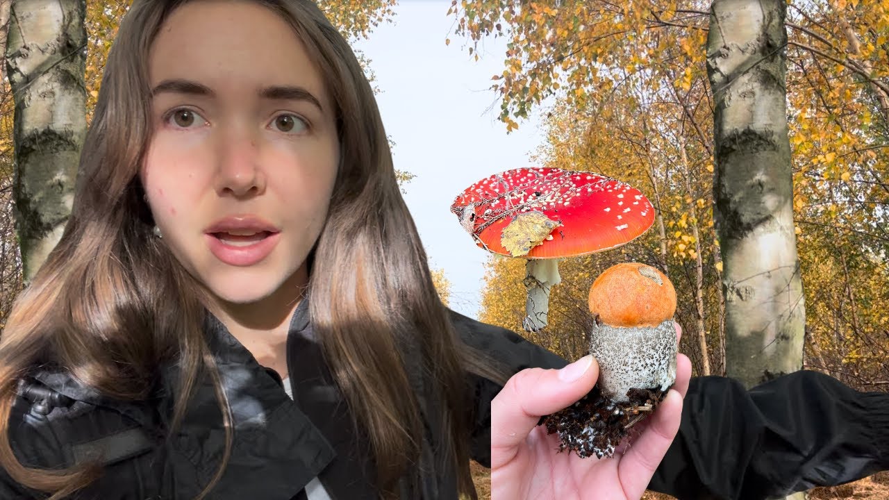 Walking with Silver Birch | Folklore Fungi and New Beginnings (Series: Episode 1)