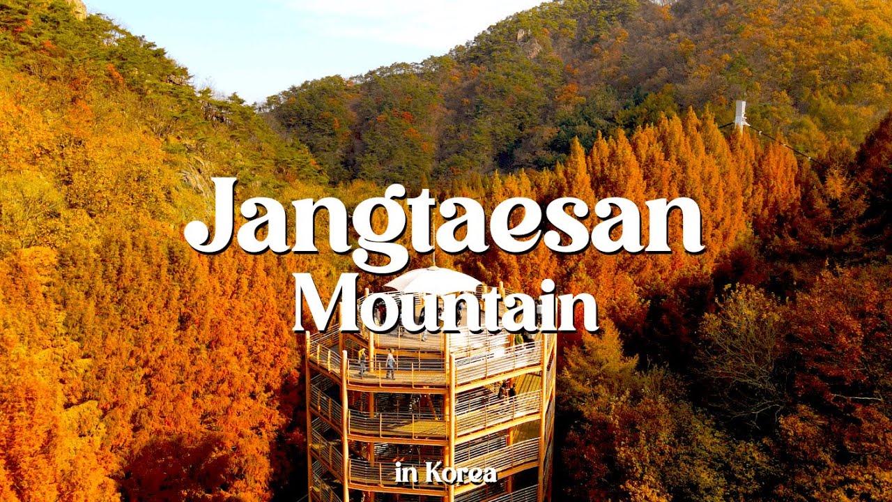 Suspension Bridge to Sky Tower.. Real Adventure! | Jangtaesan Mountain | K-Mountain Adventure Ep. 8